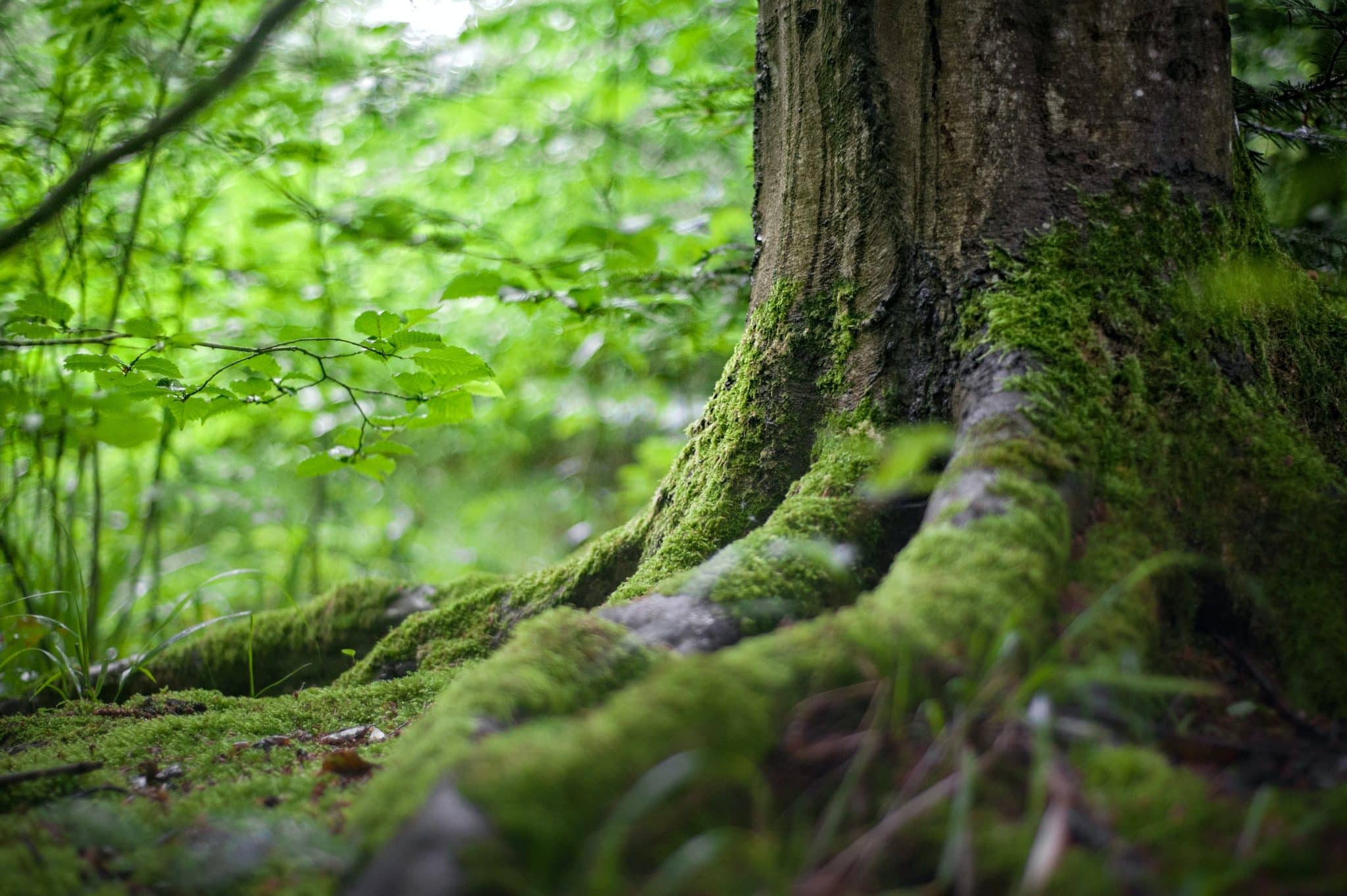 Socially Responsible Investment is when fund managers take a step further and proactively exclude assets considered to have a negative social impact.