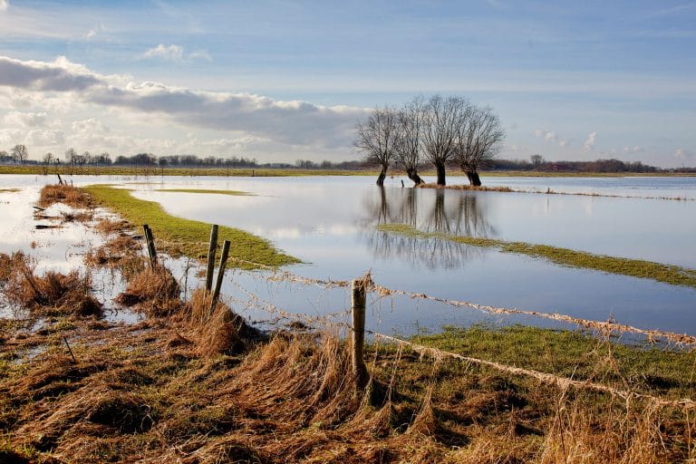 Insurance rates are going up all the time. We discuss why and how climate change may affect your insurance.