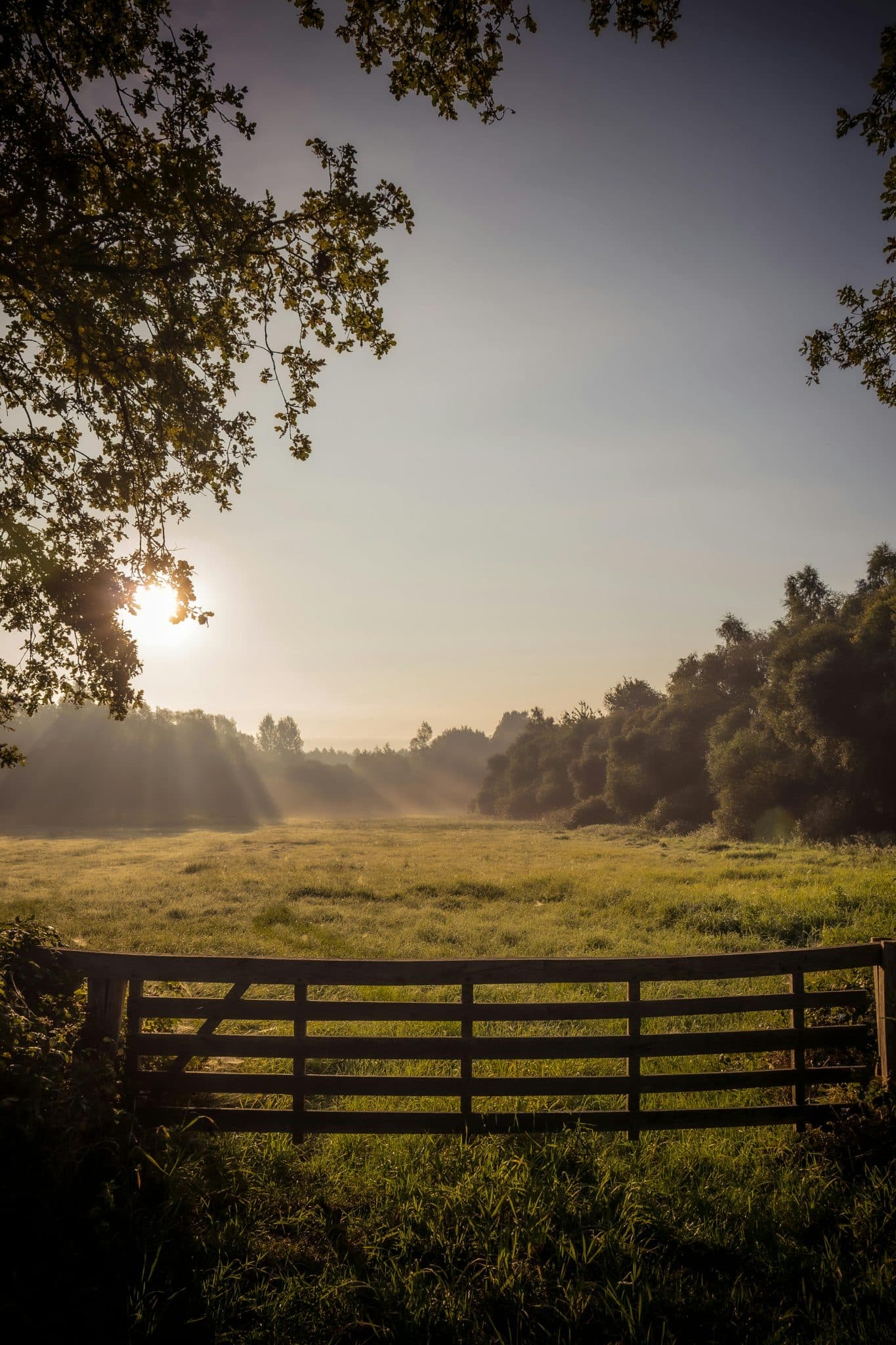 Mortgage and Insurance Link Hawke's Bay have joined the CM Financial Advisers team.